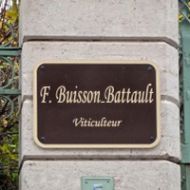 buisson-battault-02.jpg